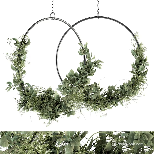 Hanging Garden Decor With Two Black Metal Rings And Green Foliage Vines 3d model 