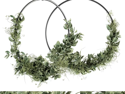 Hanging Garden Decor With Two Black Metal Rings And Green Foliage Vines 3d model