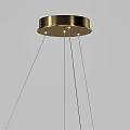Modern Minimalist Chandelier With Circular Ring Design And Hanging Light Source 3d model