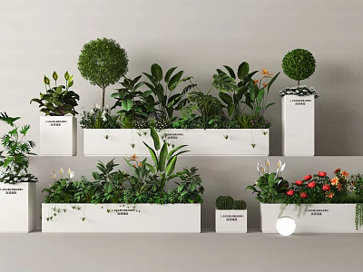 Beautiful Flower And Plant Arrangement With White Planters Rounded Trimmed Greens And Red Blooms 3d model