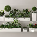 Beautiful Flower And Plant Arrangement With White Planters Rounded Trimmed Greens And Red Blooms