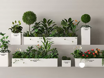 Pendulum green plant flower box plant combination plant pile landscape 3d model