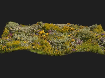 Vibrant Mixed Flowers And Lush Green Plants In Natural Meadow Scene 3d model