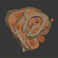 Natural Wood and Stone Stacked Fragments with Orange Gray Textured Surface