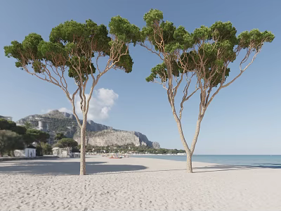 Tall Trees Standing on Sandy Beach with Mountain and Sea Under Clear Blue Sky 3d model