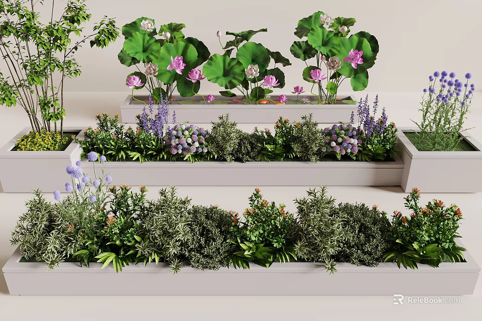 Diverse Plant Combination With Pink Lotus Purple Flowers And Green Shrubs In White Planters 3d model 