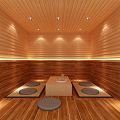 Modern sauna room khan steam room 3d model