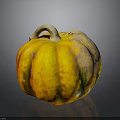 Fresh Yellow and Green Pumpkin with Textured Skin Healthy Organic Food Ingredient