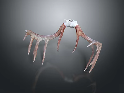 Rustic Natural Antlers Decorative Piece With Brown White Branched Texture Design 3d model