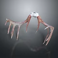 Rustic Natural Antlers Decorative Piece With Brown White Branched Texture Design