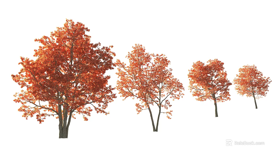 Autumn Arbor Trees With Vibrant Orange Red Leaves And Different Growth Sizes 3d model 