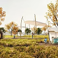 Beautiful Park Landscape With Tall Grass Autumn Trees White Canopies Circular Ring And People Relaxing