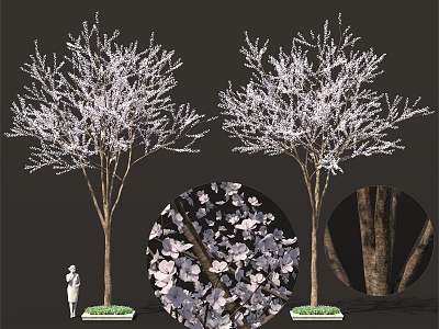 Sakura Tree Pond Peach Blossom Tree Street Tree Landscape Sparks 3d model