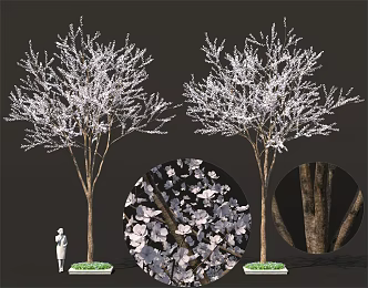 Sakura Tree Pond Peach Blossom Tree Street Tree Landscape Sparks 3d model
