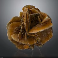 Wood Stone With Orange Red Flower Shaped Layered Structure And Glossy Texture