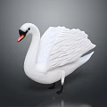 White Swan 3D Model With Spread Wings And Orange Black Beak On Gray Background