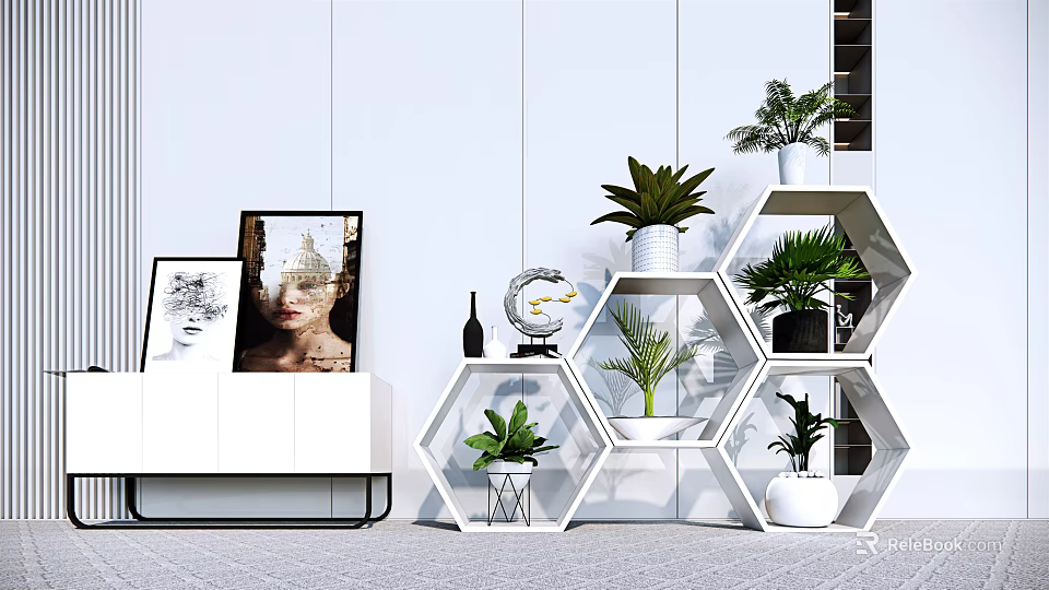Modern Indoor Potted Plants Display On Hexagonal Shelves With Decorative Items 3d model