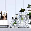 Modern Indoor Potted Plants Display On Hexagonal Shelves With Decorative Items 3d model