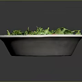 Fresh Healthy Salad Bowl With Leafy Greens Tomatoes And Purple Cabbage