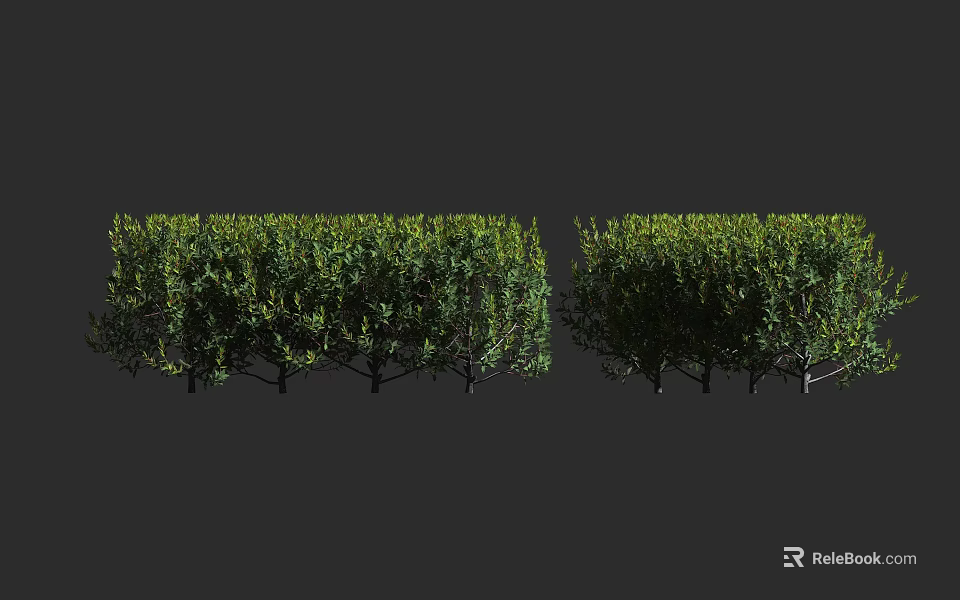 Lush Green Leafy Shrubs Planted In Row For Outdoor Garden Decoration 3d model 