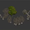 Natural Scenic Components With Stone Paths Small Trees And Scattered Stone Pieces