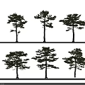 Various Arbor Trees Featuring Different Crown Shapes For Landscape Design 3d model