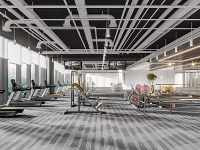 Spacious Gym Interior With Fitness Equipment And Natural Light 3d model