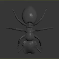 Detailed 3D Ant Model With Gray Body And Realistic Leg Structure Design