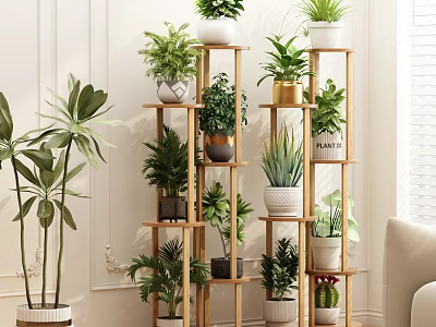 Wooden Multi Tiered Flower Stand With Various Green Plants And Decorative Pots In Living Room 3d model