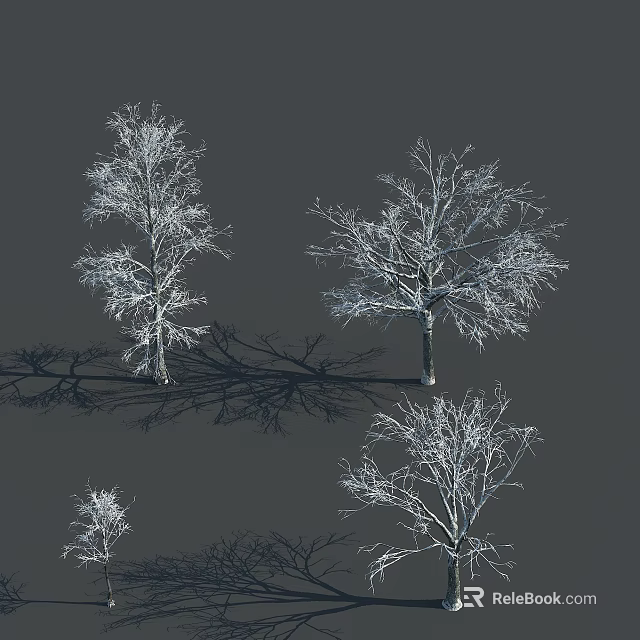 Leafless Arbor Trees With Snow Covered Branches And Long Shadows On Gray Background 3d model