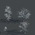 Leafless Arbor Trees With Snow Covered Branches And Long Shadows On Gray Background 3d model