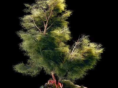 Lush Arbor With Green Foliage And Tall Trunk In Natural Landscape 3d model