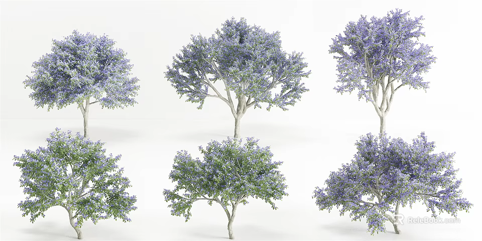 Various Ornamental Trees with Purple and Green Foliage in Rendered Forms 3d model 