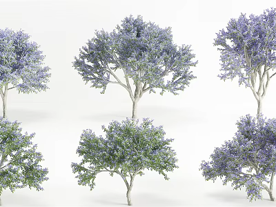 Various Ornamental Trees with Purple and Green Foliage in Rendered Forms 3d model