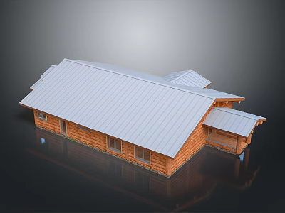 Wooden House Exterior Design With Metal Sloped Roof And Porch Extension Structure 3d model