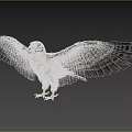 Falcon with Patterned Feathers Spreading Wings and Yellow Talons on Gray Background