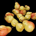 Fresh Ripe Yellow Green and Red Pears on Black Background