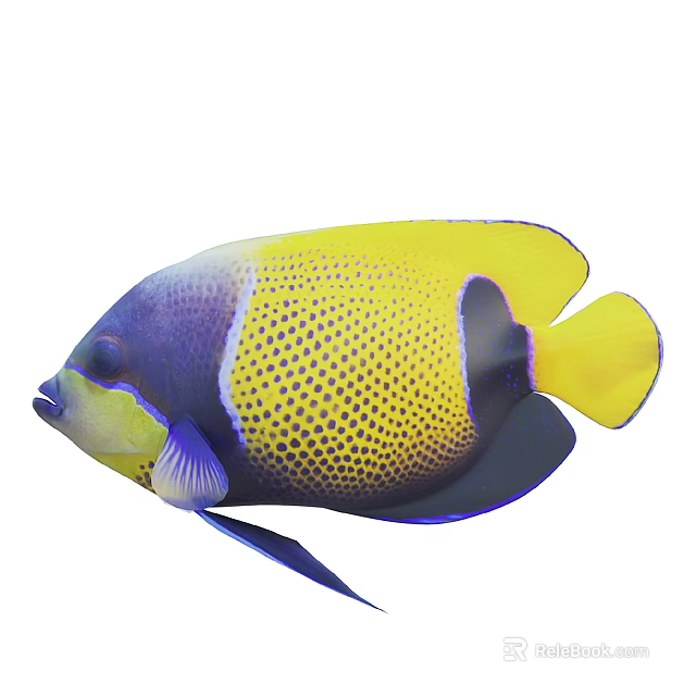 Vibrant Tropical Aquatic Animal Fish With Yellow Blue Purple Spotted Pattern Body 3d model 