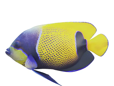 Vibrant Tropical Aquatic Animal Fish With Yellow Blue Purple Spotted Pattern Body 3d model