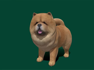 Brown Reptile Lizard Standing On Green Background With Open Mouth 3d model