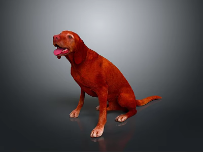 Red Dog Sitting With Tongue Out On Dark Background 3D Render 3d model