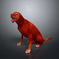 Red Dog Sitting With Tongue Out On Dark Background 3D Render