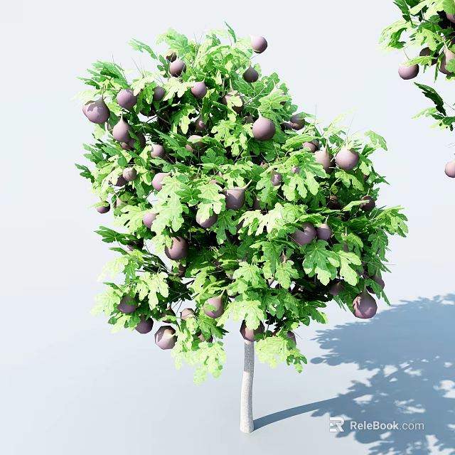 Lush Healthy Tree With Vibrant Green Leaves And Plump Purple Fruits 3d model 