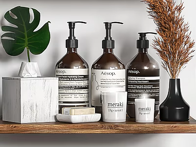 Bathroom Accessories On Wooden Shelf With Brown Pump Bottles Candles And Green Plant Decor 3d model
