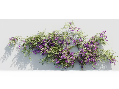 Lush Climbing Vines With Purple Flowers And Green Leaves Growing On White Wall With Shadows 3d model
