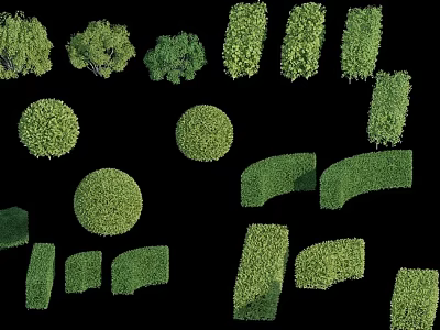Shrubs In Various Pruned Shapes And Forms For Garden Landscaping Design 3d model