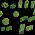 Shrubs In Various Pruned Shapes And Forms For Garden Landscaping Design