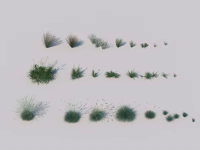 Different Varieties of Grass Plants with Various Shapes and Sizes on White Background 3d model