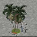 Clustered Palm Trees in Circular Green Lawn With 3.8 Meters Height And Gray Square Paving
