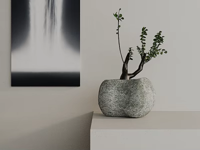 Bonsai Plant in Stone Pot on White Shelf with Black and White Wall Art 3d model